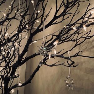 Meet your Posher, Mel